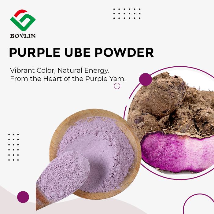 Purple UBE Powder